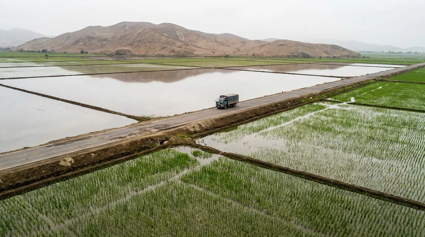 Landscape of the Chiclayo region, Peru — illustrative image